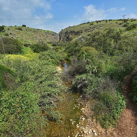 הוילה מול כנרת בליבנים מראה חיצוני תמונה