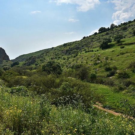 הוילה מול כנרת בליבנים מראה חיצוני תמונה