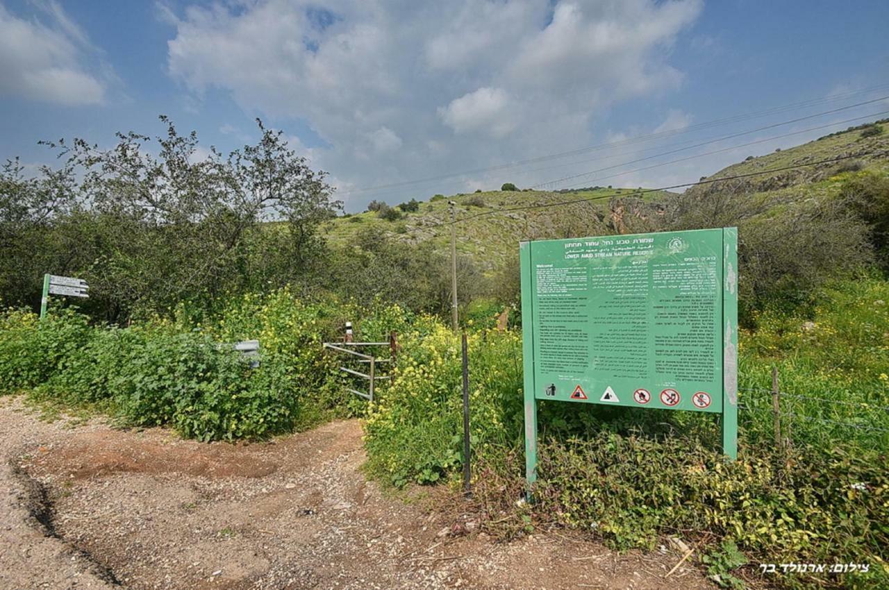 הוילה מול כנרת בליבנים מראה חיצוני תמונה
