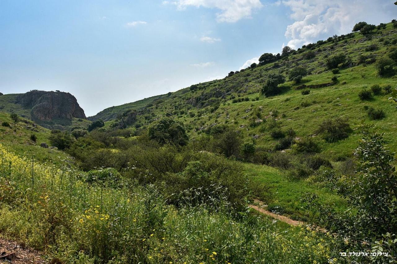 הוילה מול כנרת בליבנים מראה חיצוני תמונה