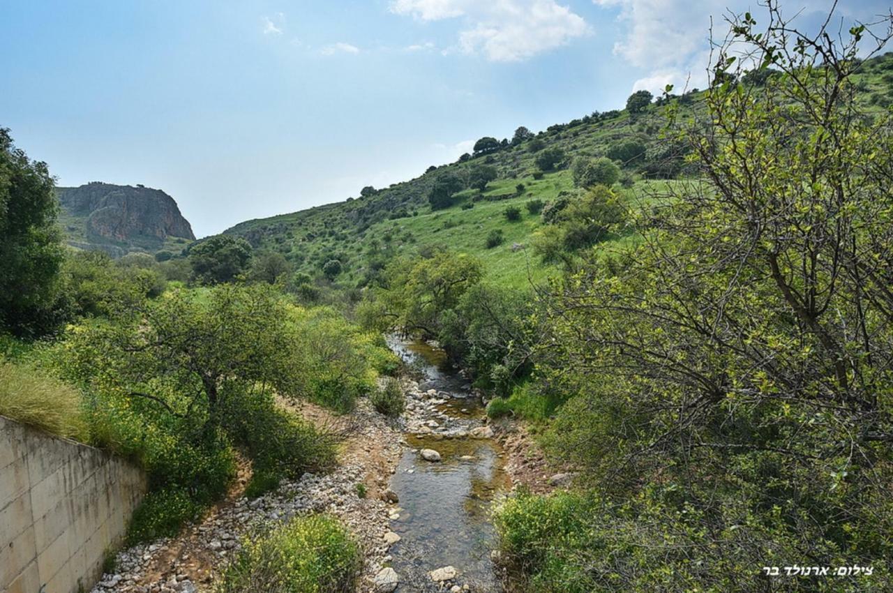 הוילה מול כנרת בליבנים מראה חיצוני תמונה